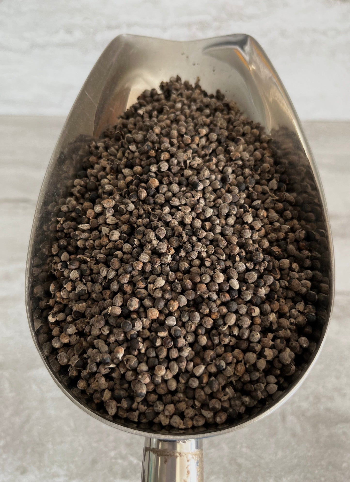 Chaste berry (vitex) liquid extract bulk and wholesale