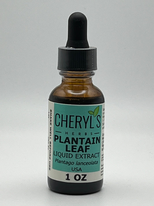 PLANTAIN LEAF LIQUID EXTRACT - ORGANIC