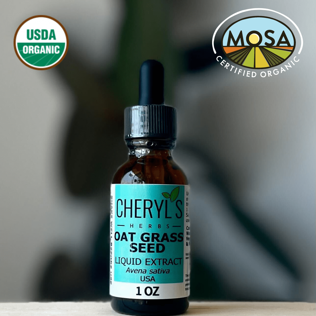 OAT GRASS SEED LIQUID EXTRACT - ORGANIC - Cheryls Herbs