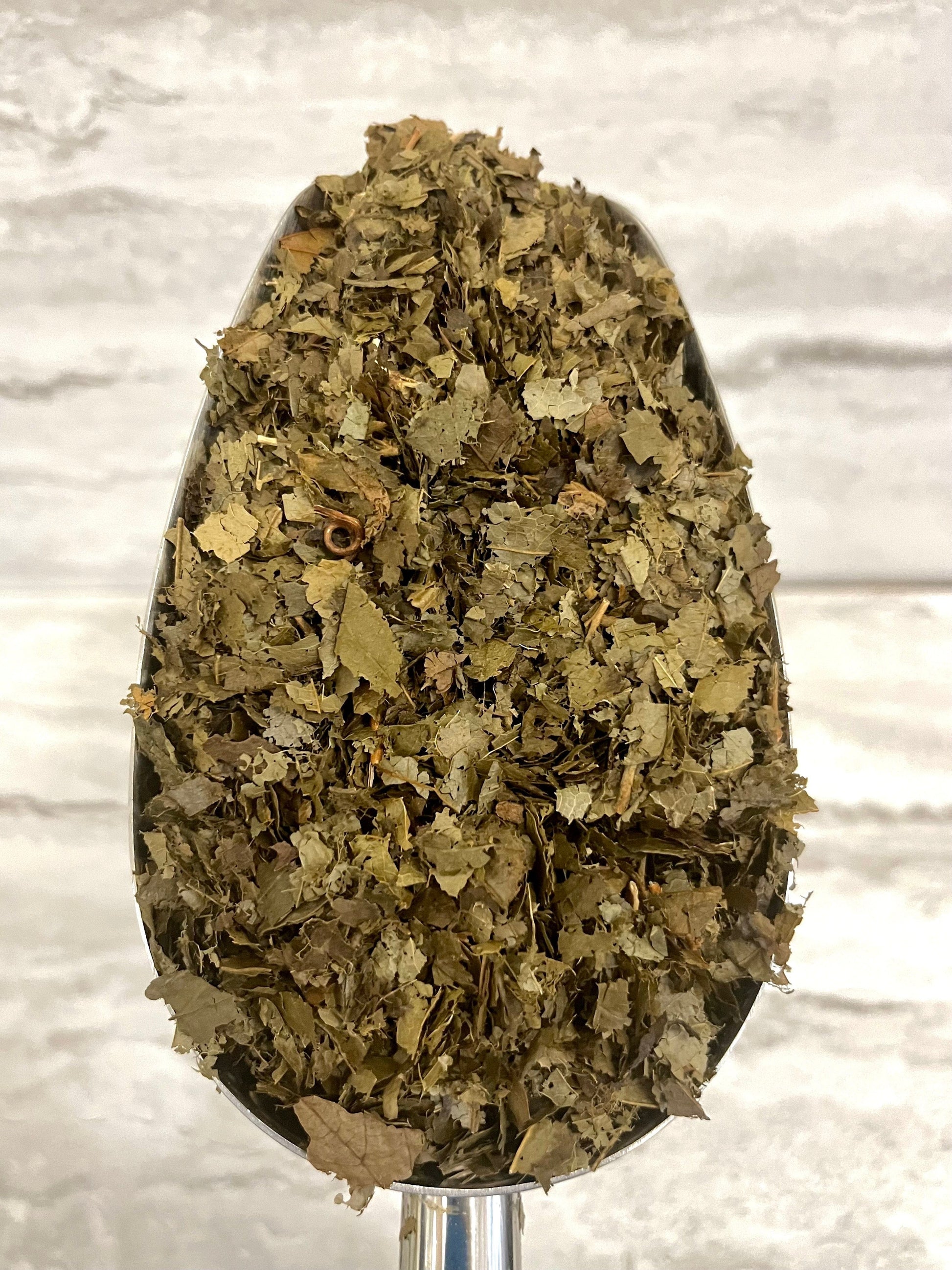 Wormwood Herb Supplement Liquid Extract (Artemisia absinthium)