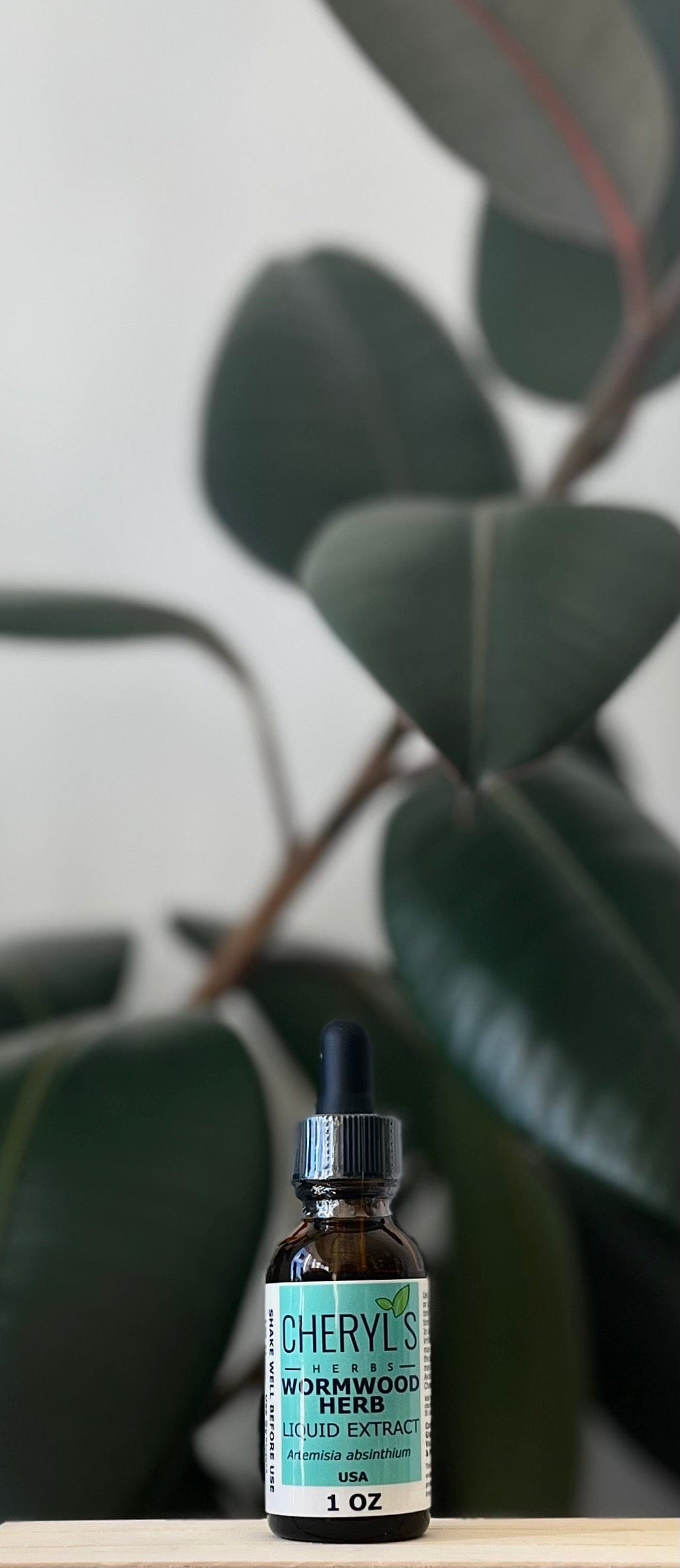 Wormwood Herb Supplement Liquid Extract (Artemisia absinthium)
