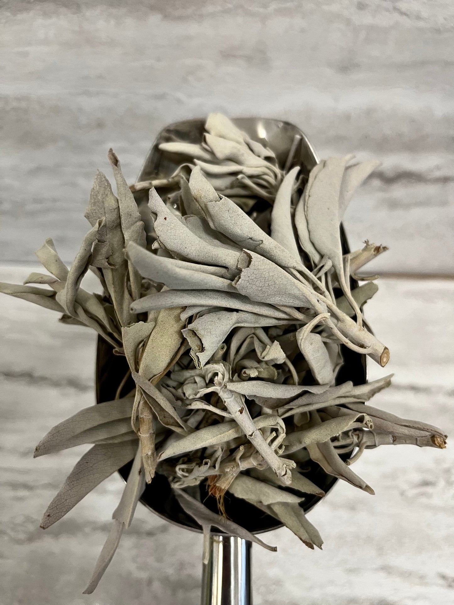 SAGE LEAF WHITE whole - Cheryls Herbs