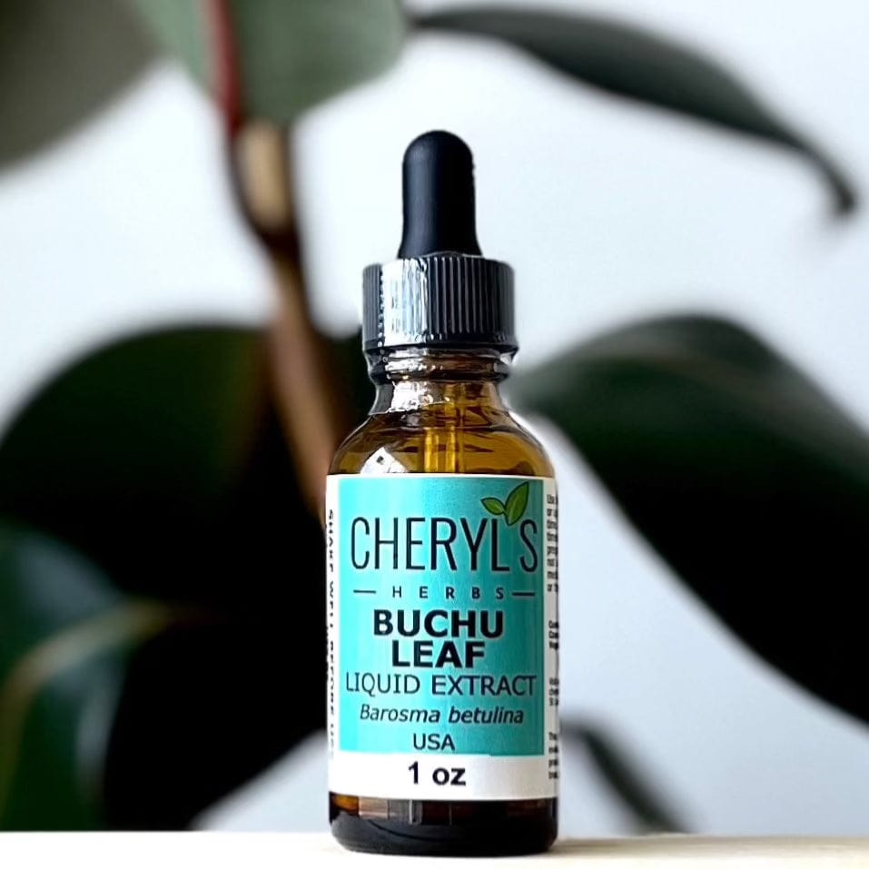BUCHU LEAF LIQUID EXTRACT * - Cheryls Herbs