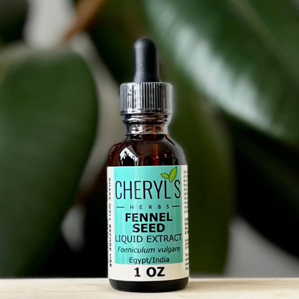 FENNEL SEED LIQUID EXTRACT - ORGANIC - Cheryls Herbs