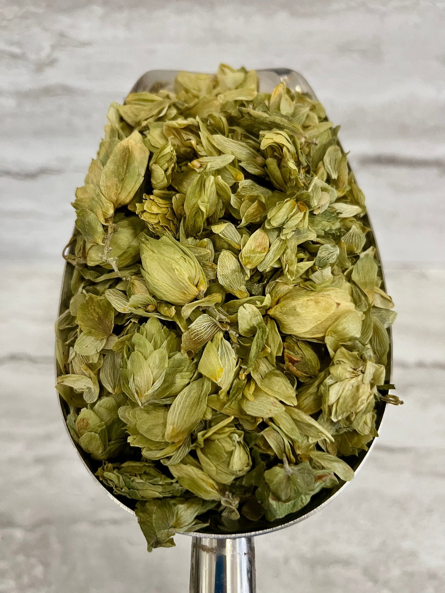 HOPS FLOWER whole - CERTIFIED ORGANIC - Cheryls Herbs
