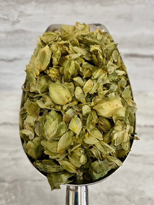 HOPS FLOWER whole - CERTIFIED ORGANIC - Cheryls Herbs