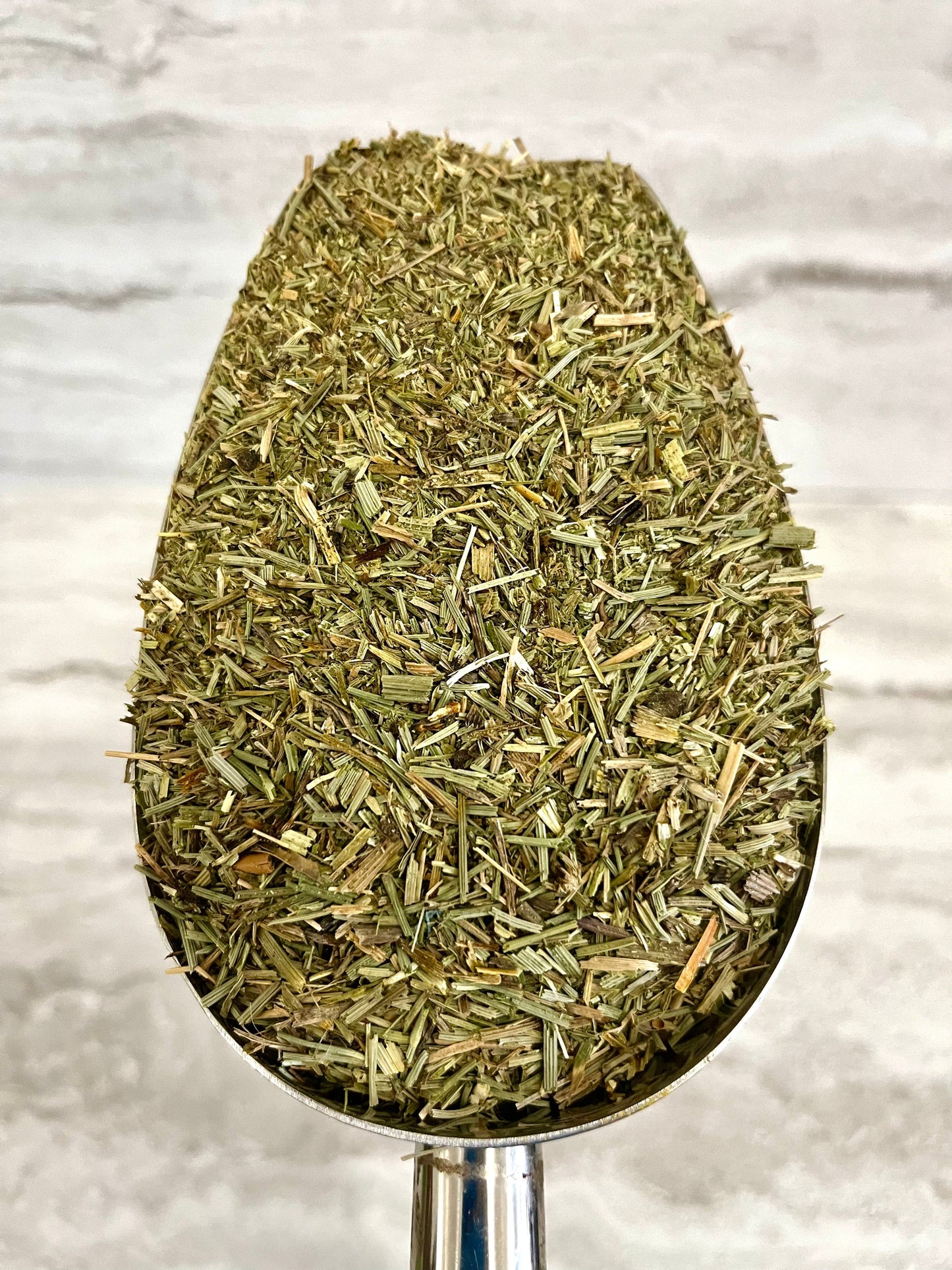 HORSETAIL HERB cut - Cheryls Herbs
