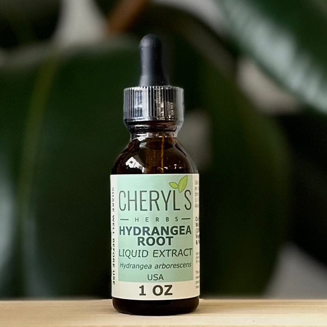 HYDRANGEA ROOT LIQUID EXTRACT - ORGANIC - Cheryls Herbs