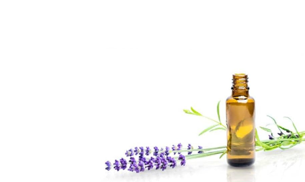 Ingredients-Image