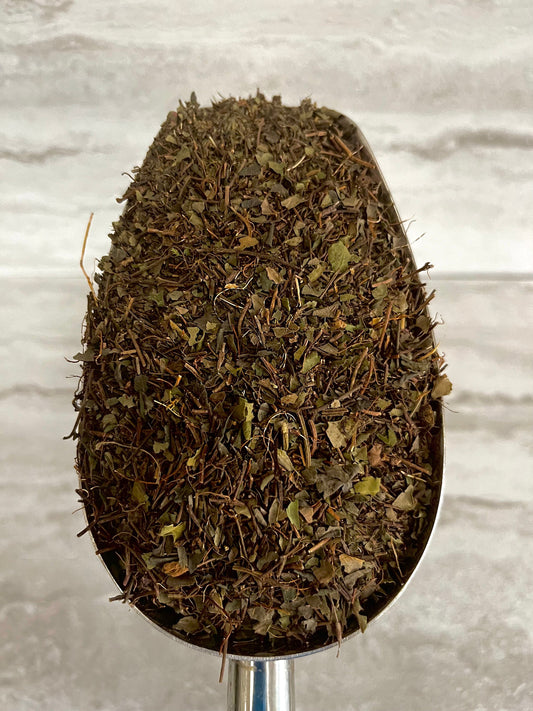 PARTRIDGEBERRY HERB cut* - Cheryls Herbs
