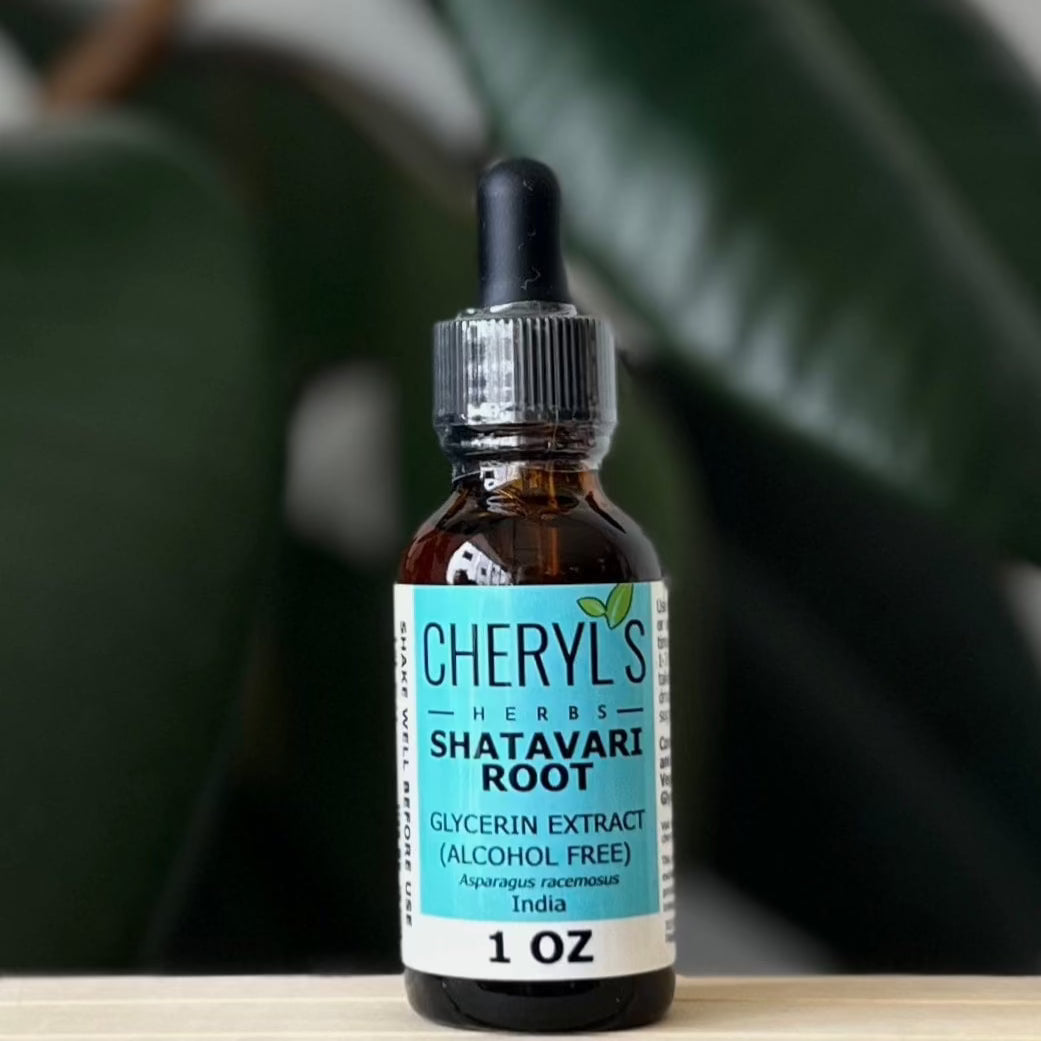 Shatavari GLYCERIN EXTRACT - Cheryls Herbs