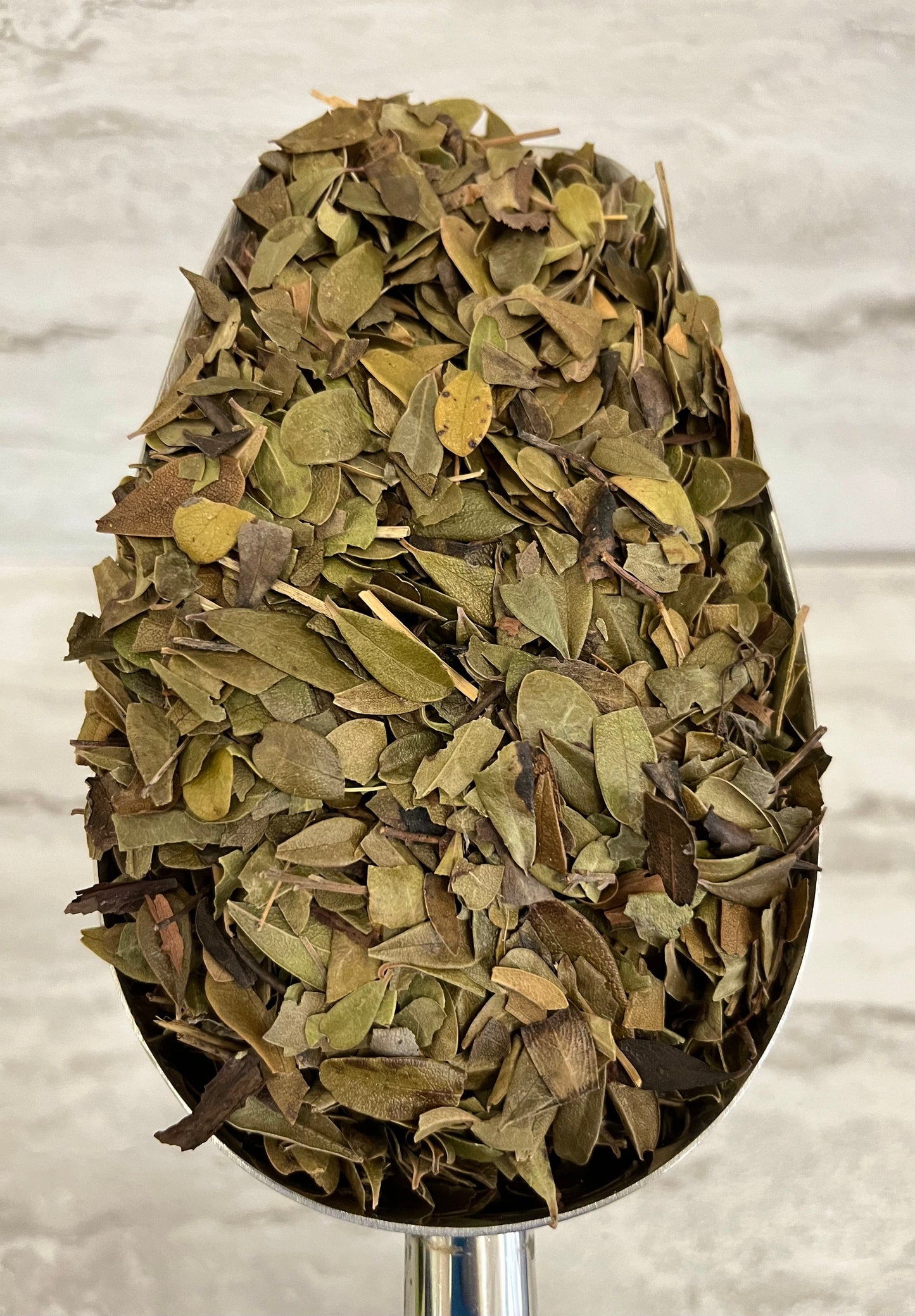 UVA URSI LEAF whole - CERTIFIED ORGANIC - Cheryls Herbs