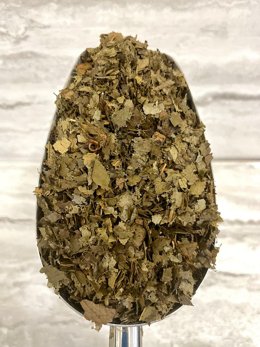 WITCH HAZEL LEAF cut - CERTIFIED ORGANIC - Cheryls Herbs