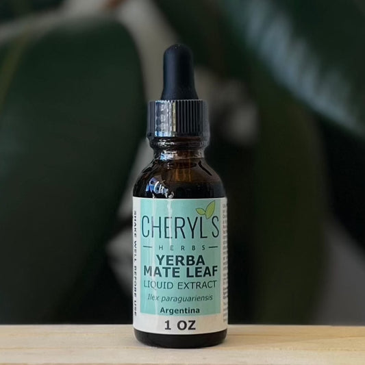 YERBA MATE LIQUID EXTRACT - ORGANIC - Cheryls Herbs