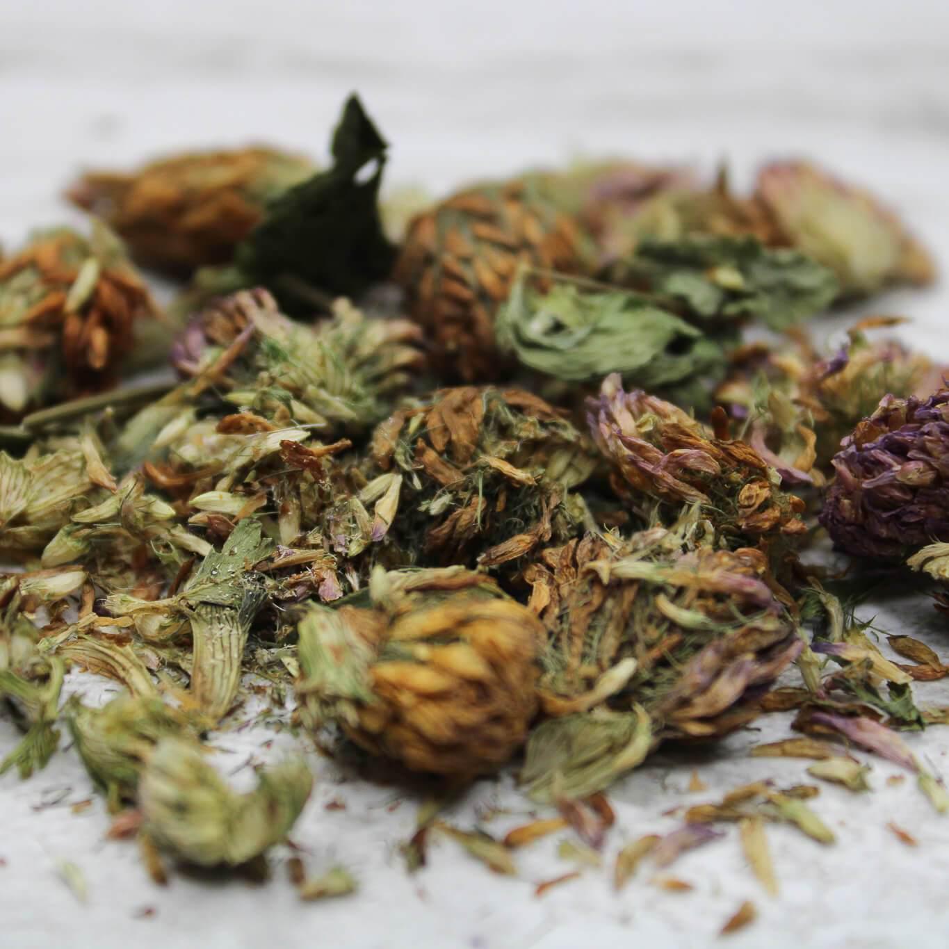 RED CLOVER BLOSSOM whole - CERTIFIED ORGANIC - Cheryls Herbs