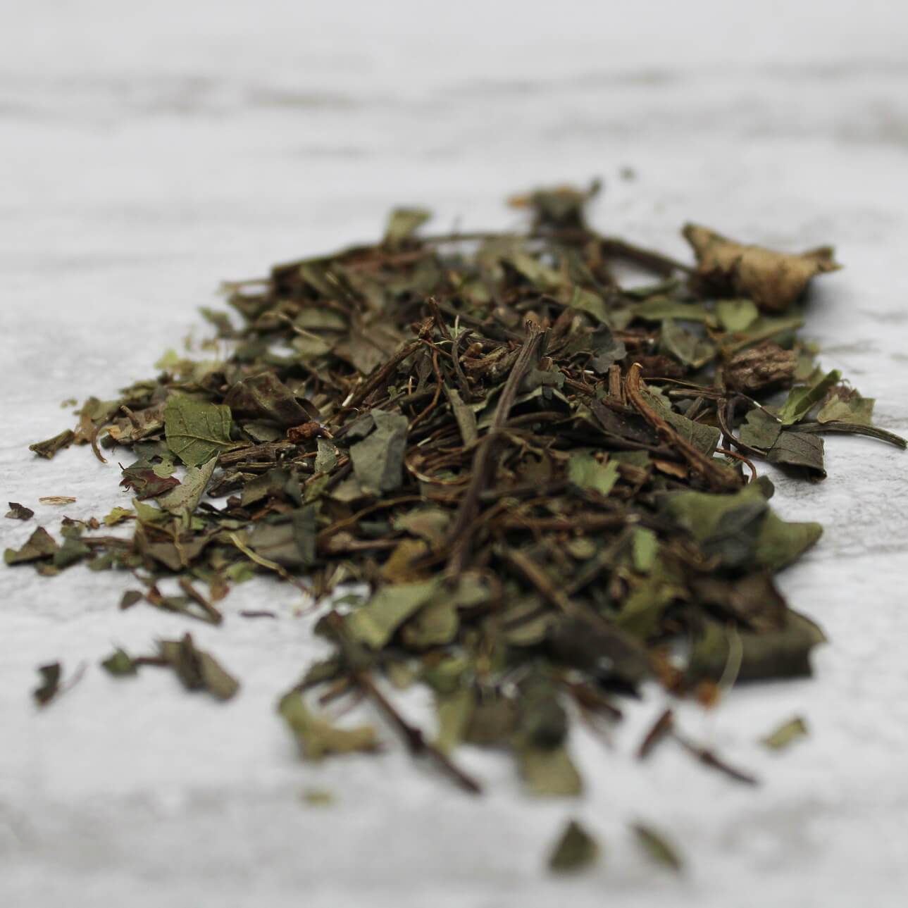 SQUAW VINE HERB cut OFF - Cheryls Herbs