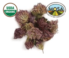 RED CLOVER BLOSSOM whole - CERTIFIED ORGANIC - Cheryls Herbs