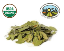 UVA URSI LEAF whole - CERTIFIED ORGANIC - Cheryls Herbs