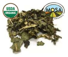 WILD LETTUCE HERB cut - CERTIFIED ORGANIC - Cheryls Herbs