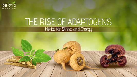 The Rise of Adaptogens: Herbs for Stress and Energy