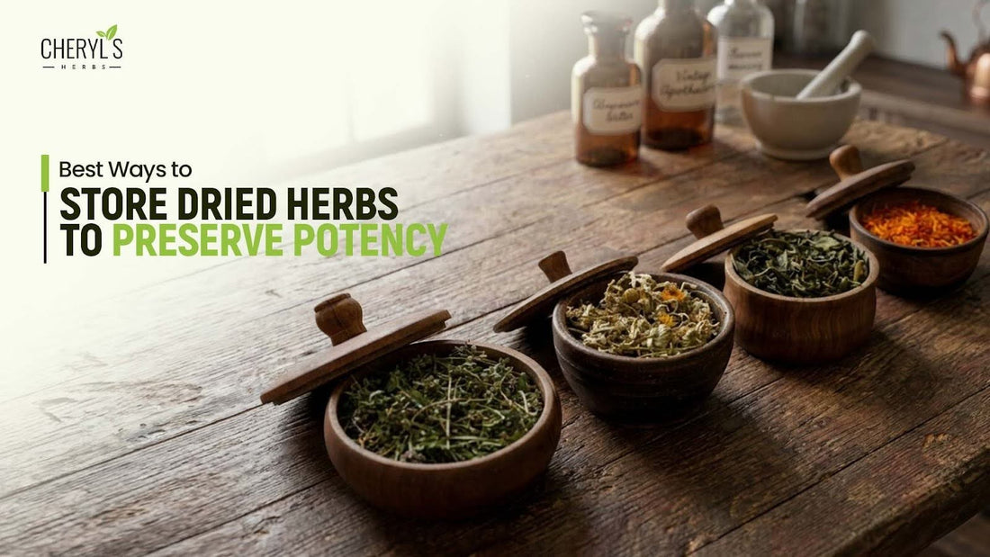 Best Ways to Store Dried Herbs to Preserve Potency