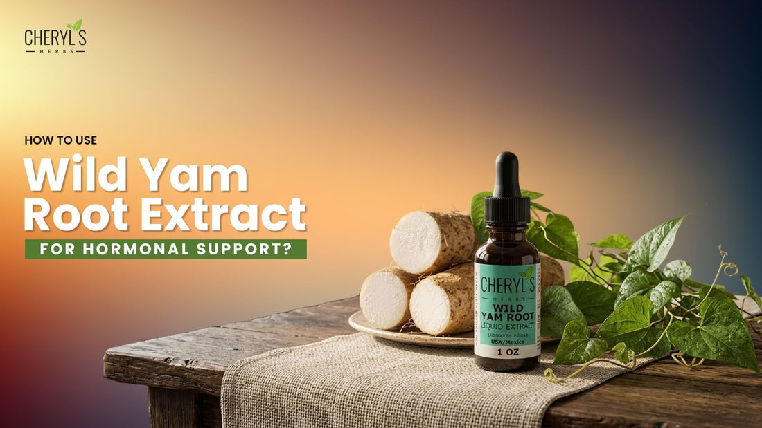How to Use Wild Yam Root Extract for Hormonal Support?