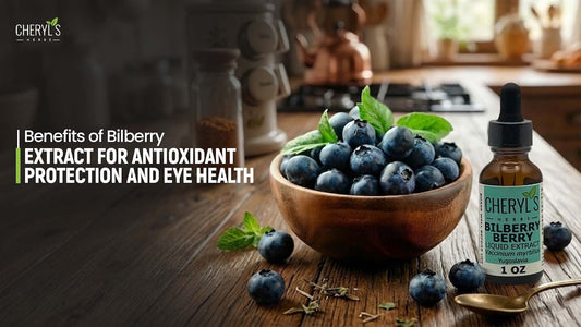 Benefits of Bilberry Extract for Antioxidant Protection and Eye Health