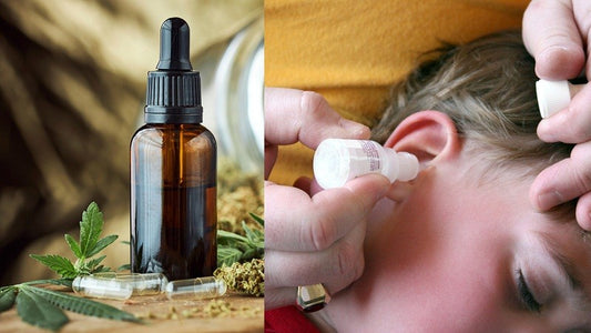 Garlic and Mullein Oil for Ear Infections: A Natural Remedy For Ear Health?