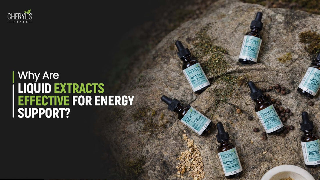 Why Are Liquid Extracts Effective for Energy Support?