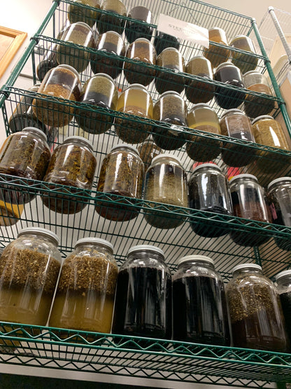 Dandelion Liquid Extract (Taraxacum officinale) - bulk and wholesale - Cheryls Herbs 