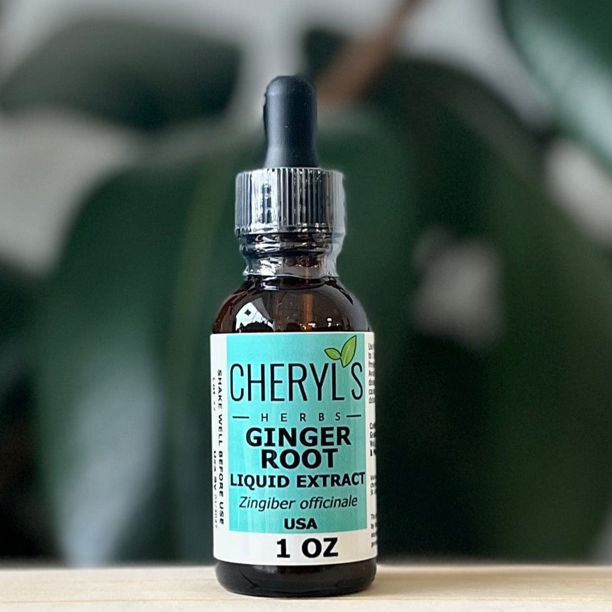 GINGER ROOT (ZINGIBER OFFICINALE) Liquid Extract Cheryls Herbs