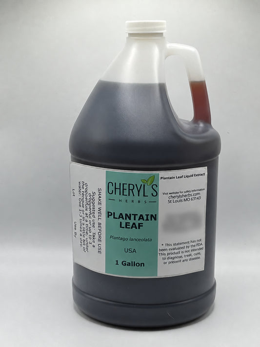 Cheryl’s Herbs Gallon Plantain leaf gallon container