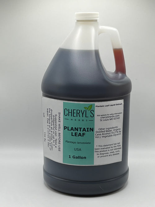 PLANTAIN LEAF LIQUID EXTRACT- ORGANIC
