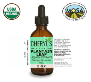 PLANTAIN LEAF LIQUID EXTRACT - ORGANIC - Cheryls Herbs