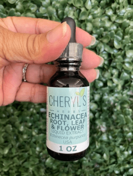 ECHINACEA ROOT, LEAF and FLOWER LIQUID EXTRACT - Cheryls Herbs