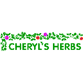 ARTEMISIA ANNUA LEAF & FLOWER SWEET ANNIE cut - 100% ORGANIC - Cheryls Herbs