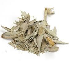 SAGE LEAF WHITE whole - Cheryls Herbs